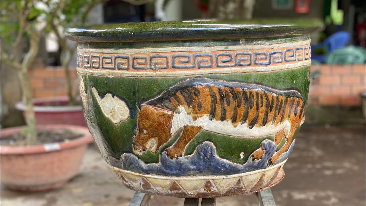 gia-chau-cay-canh-co-xua